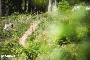 … und der vielleicht etwas langweilig gewordene Hometrail bekommt durch das Hardtail einen ganz neuen Reiz.