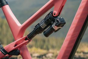 R FA BikePortraits CO AS 2933 H