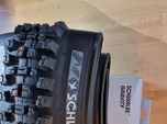 Schwalbe Albert Gravity Pro Radial TLR Soft 29x2.5 Neu!