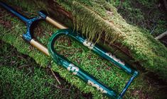 Titelbild für Artikel: Fox 38 Racing Green Edition: Limitierte Enduro-Federgabel mit Sonderlackierung