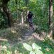 IMG 4089