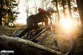 Last-Tarvo-Action-9022