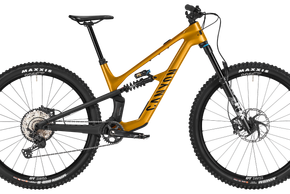 Canyon Spectral CF 8 CLLCTV – Stadtwald Sunset