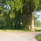 Grosse Eiche bei Walzfeld.