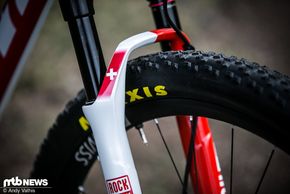 Auch die Federgabel von Rock Shox ist farblich perfekt abgestimmt