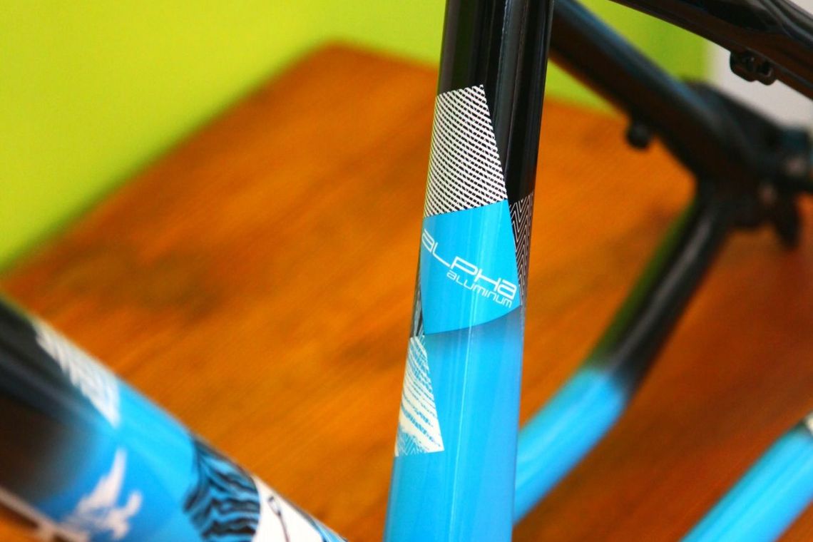 <strong>Eloxalprojekt Trek Ticket IBC 11</strong>